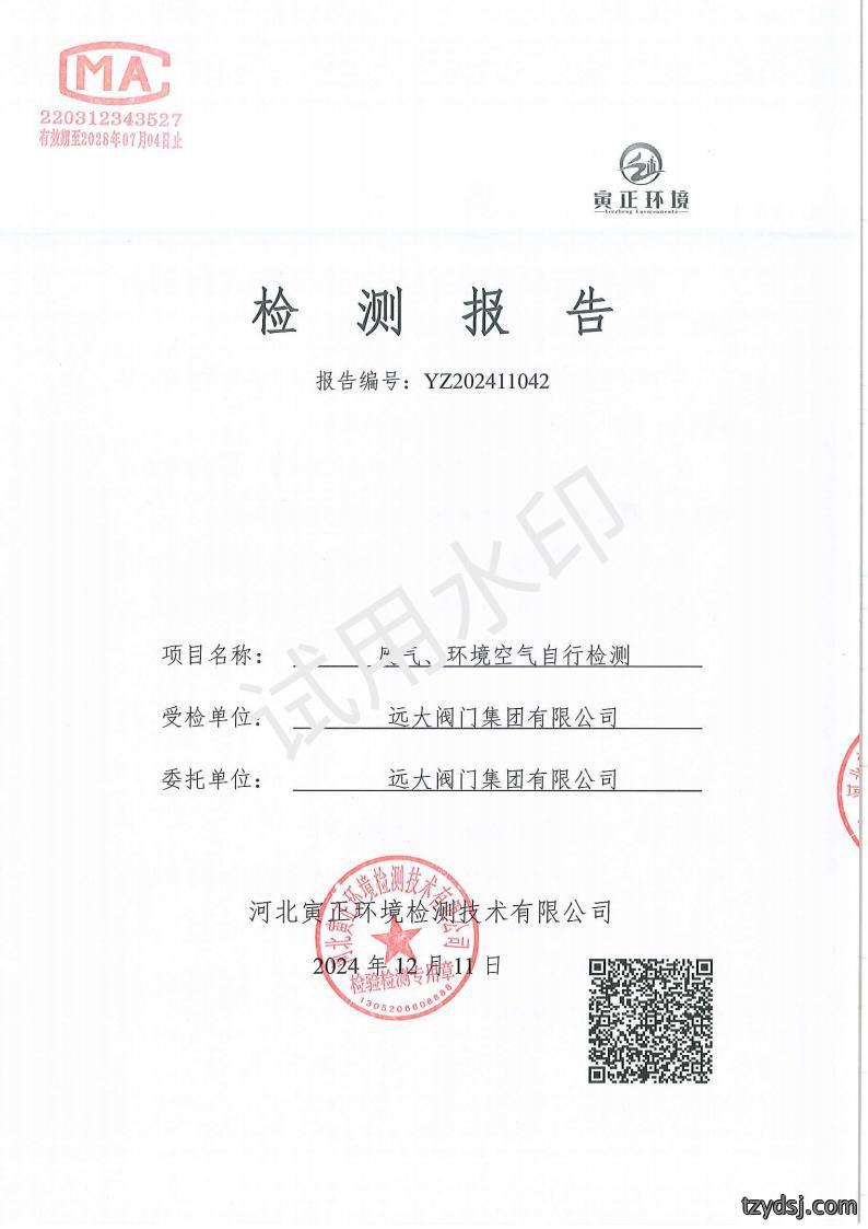 2024年12月自行检测报告