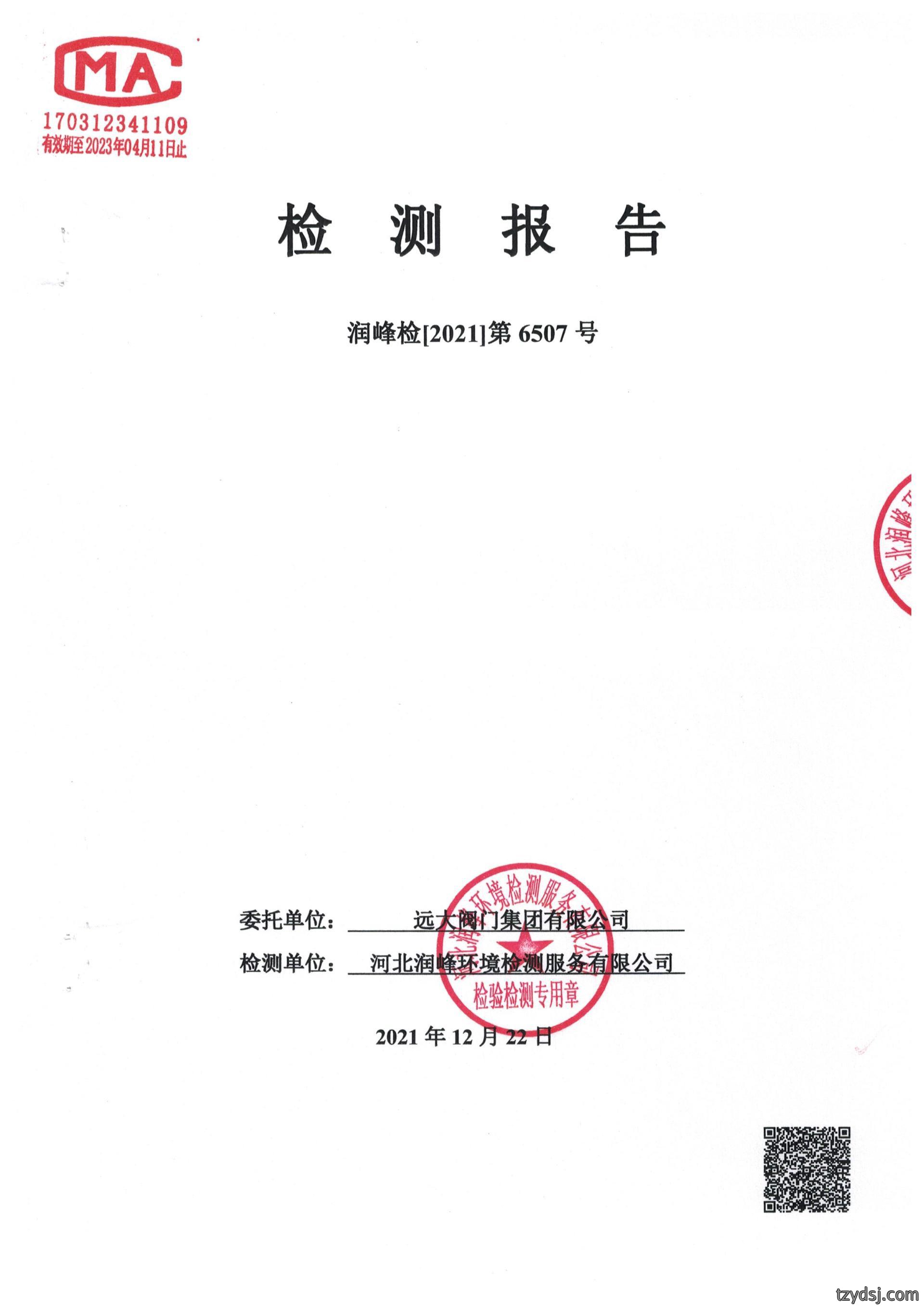 远大阀门集团2021年12月采暖锅炉检测报告