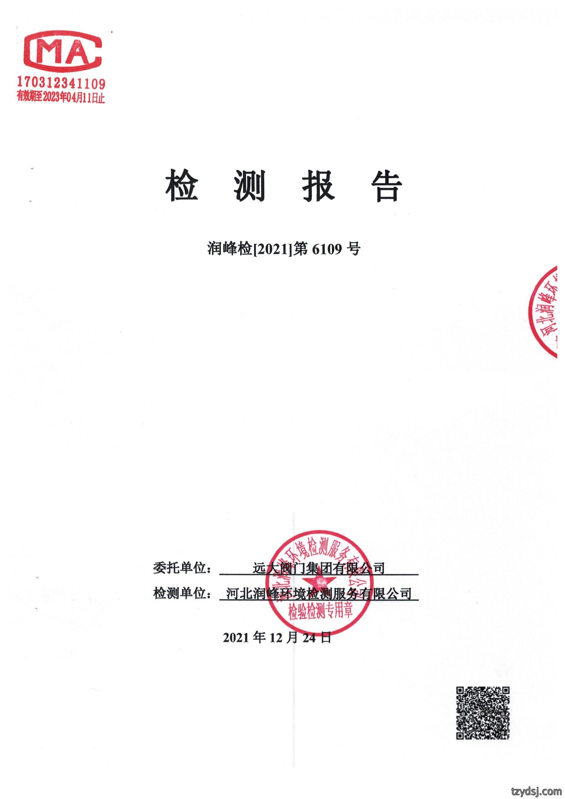 远大阀门集团2021年度下半年地下水、第四季度噪声检测报告